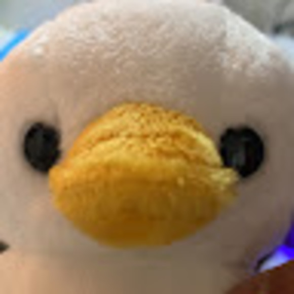 anakielfcb1202